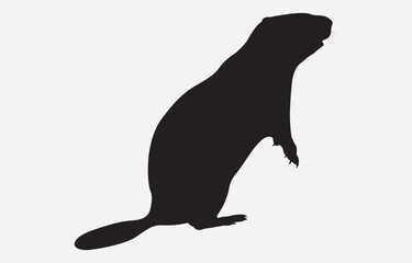 Groundhog Silhouette Vector Illustration Isolated on white background