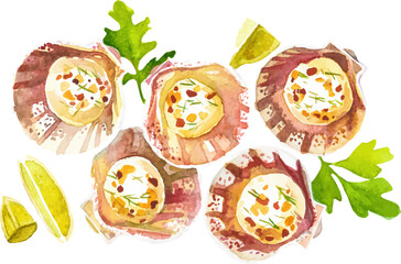 Watercolor painted scallops. Hand drawn fresh seafood design element isolated on white background.