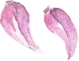 Watercolor painted garlic. Hand drawn fresh food design element isolated on white background.