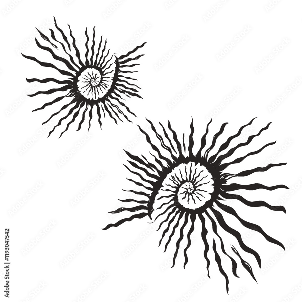 Wall mural two black abstract pattern icons form a curved golden ratio without background