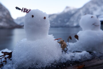 snowman on the lake