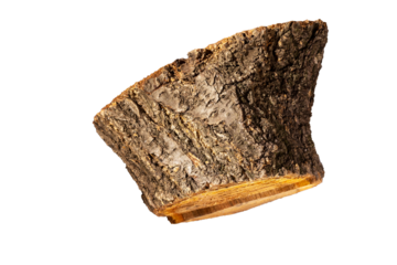Piece of fruit tree trunk on transparent background. Different angles. Close up.