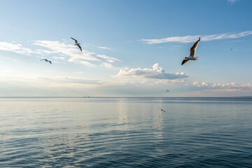 Naklejka premium A calm sea with a few seagulls flying overhead, clear skies, peaceful atmosphere