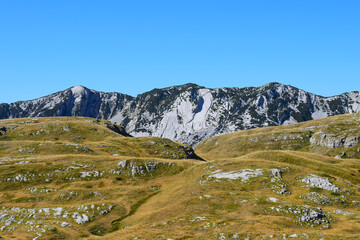 Fototapeta premium Durmitor national park