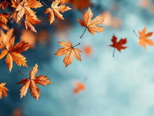 Falling autumn leaves enchanted forest nature photography beautiful scenery aerial view seasonal change