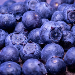 Blueberries close-up. Vaccinium myrtillus. Macro of fresh blueberry berries