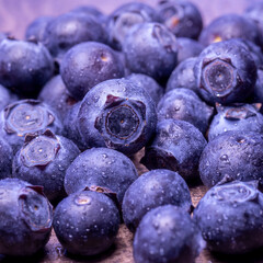 Blueberries close-up. Vaccinium myrtillus. Macro of fresh blueberry berries