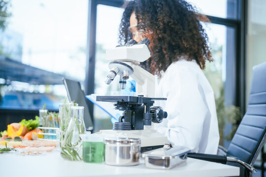 An African American female scientist works at her desk in a laboratory, closely examining a meat sample under a microscope.She focuses on modification,plant genetics,innovations in food meat research