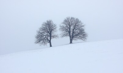 Two bare trees on a snowy hill in winter.
