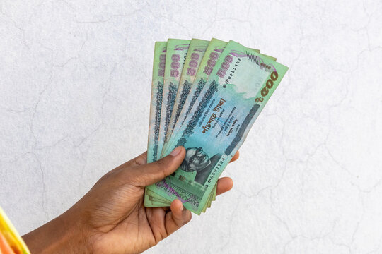 A female hand holding Bangladeshi money 500 taka notes in white background.