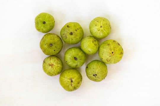 Phyllanthus emblica, commonly known as Amla, amloki, Indian gooseberry, emblic, emblic myrobalan, myrobalan, or Malacca tree, is presented in isolation against a white background. Top view.