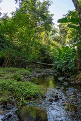 Cachoeira Natureza Água Pedras