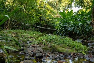 Cachoeira Natureza &Aacute;gua Pedras