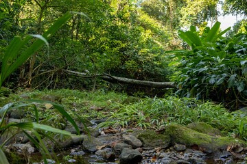 Cachoeira Natureza &Aacute;gua Pedras