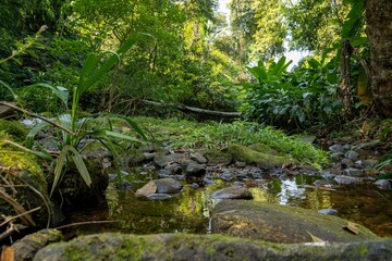 Cachoeira Natureza &Aacute;gua Pedras