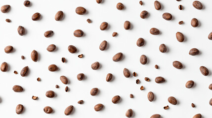 An overhead shot of cocoa beans scattered on a white background, creating a visually striking composition with their various sizes and shapes.