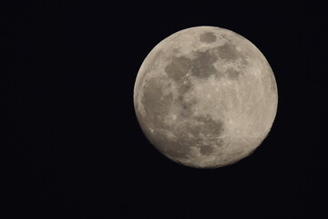 Full moon in black night sky. n in black night sky. 