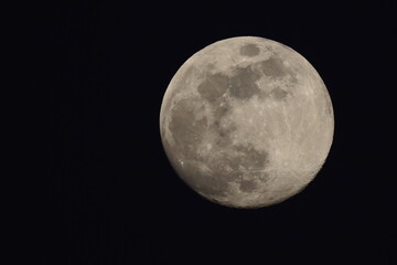 Obraz premium Full moon in black night sky. n in black night sky. 