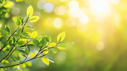 Delicate willow branches in fresh green, soft morning light, serene and minimalist Qingming Festival scene.