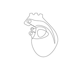 Simple continuous one line drawing of human heart. Single line drawing illustration of heart. Anatomical concept vector art. Doodle line illustration.
