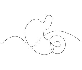 Simple continuous one line drawing of stomach . Single line drawing illustration of stomach. Anatomical concept vector art. Doodle line illustration.