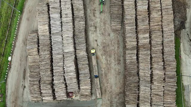 V&iacute;deo de um caminh&atilde;o carregado com toras de eucalipto em um estoque de ind&uacute;stria de papel e celulose. Log&iacute;stica industrial e manejo sustent&aacute;vel da madeira em destaque