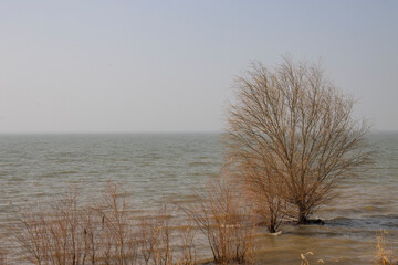 By the lake, harbor, winter, scenery, background, illustration