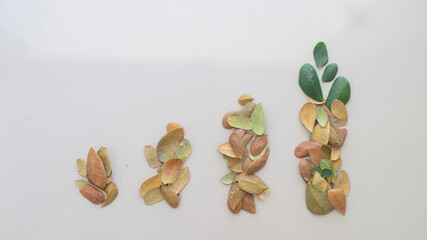 The bar chart is made of dry leaves and green leaves at the top of their growth. It conveys hope...