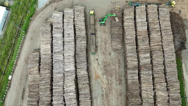 V&iacute;deo de um caminh&atilde;o garra organizando toras de madeira em uma ind&uacute;stria de papel e celulose, destacando o processo de log&iacute;stica e prepara&ccedil;&atilde;o para a produ&ccedil;&atilde;o de papel