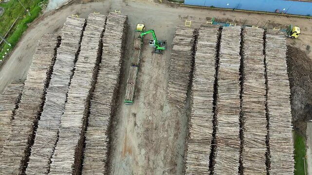 V&iacute;deo de um caminh&atilde;o garra retirando toras de madeira de um ve&iacute;culo para um estoque industrial, em uma ind&uacute;stria de papel e celulose, destacando o processo de carga e log&iacute;stica