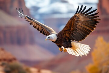 A majestic vulture soaring over a canyon, with the vast red-rock formations stretching into the distance