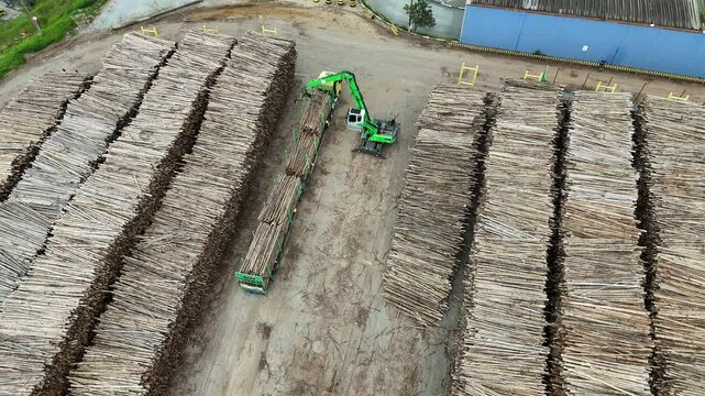 Vis&atilde;o a&eacute;rea de um caminh&atilde;o garra pegando eucalipto para a produ&ccedil;&atilde;o de papel e celulose. O v&iacute;deo captura o processo de coleta do material, destacando o maquin&aacute;rio e a movimenta&ccedil;&atilde;o no campo