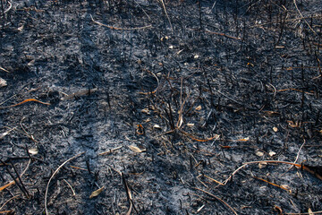 Burning, grassland, wildfires, firefighting, texture, background, illustrations
