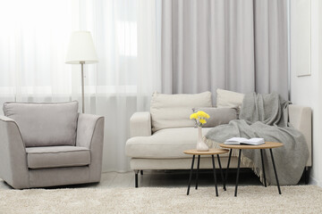 Comfortable sofa with blanket, armchair and lamp in light living room. Interior design