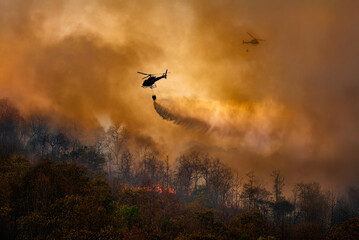Fire fighting helicopter carry water bucket to extinguish the forest fire.