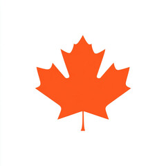 A maple leaf illustration with veins on a solid background. It is visually striking due to its bold colors and clean design.