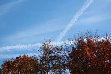 Autumn Leaves Changing Colors in Ohio