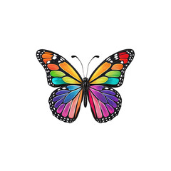 Obraz premium Rainbow Wings: A vibrant, rainbow-colored butterfly stands out against the background, showcasing the beauty of its wings. 