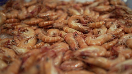 Shrimps on display at food market. Seafood sale