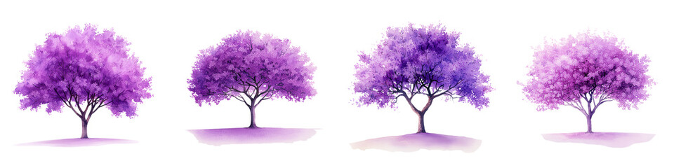 Fototapeta premium Solitary Jacaranda Tree in Full Bloom: A Stunning Display of Delicate Purple Blossoms Against a Serene Backdrop