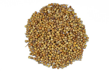 Coriander seeds, Coriandrum sativum, also known as cilantro, an annual herb in the family Apiaceae, All parts of the plant are edible, dried seeds of coriander, selective focus