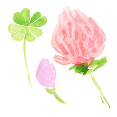 Watercolor four-leaf clover with flowers
