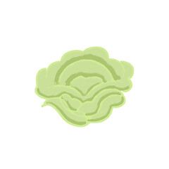 The shape of organic lettuce is light green in color and resembles waves or leaves. Minimalist and modern design, suitable for various design purposes, such as wallpaper, background, or graphic design