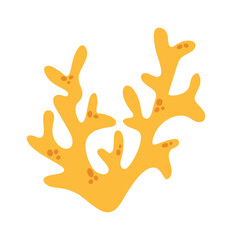 Coral branched formation underwater inhabitant