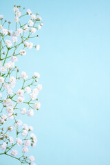 Snow-white gypsophila flowers on a blue background. Delicate and graceful inflorescences create a feeling of lightness and romance