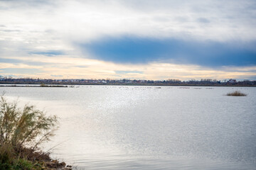 Obraz premium Landscape view of Salina nature park with flamingos near Ulcinj town in winter time in Montenegro