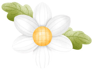 White watercolor Flowers with leaves