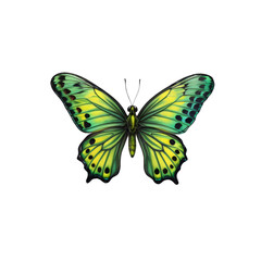 Obraz premium Emerald Wings: A vibrant green and yellow butterfly with intricate patterns on its wings, isolated against a clean background, showcasing the delicate beauty of nature. 