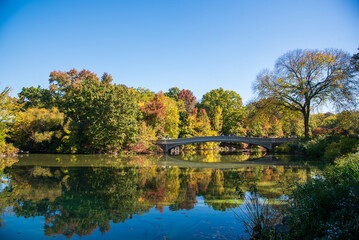 Fototapeta premium The Bow Bridge of Central Park, Manhattan, New York