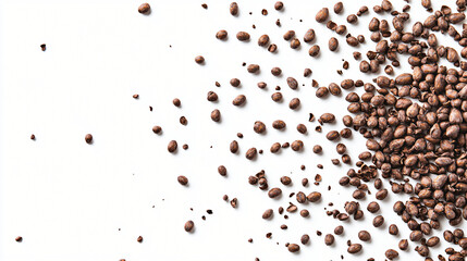 An overhead shot of cocoa beans scattered on a white background, creating a visually striking composition with their various sizes and shapes.